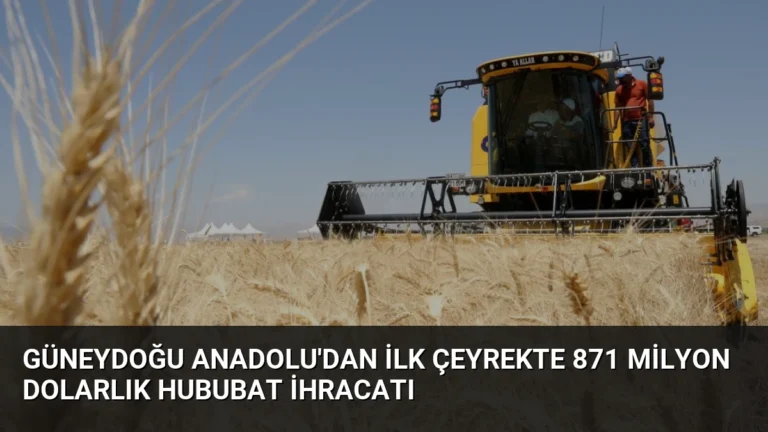 Güneydoğu Anadolu’dan İlk Çeyrekte 871 Milyon Dolarlık Hububat İhracatı