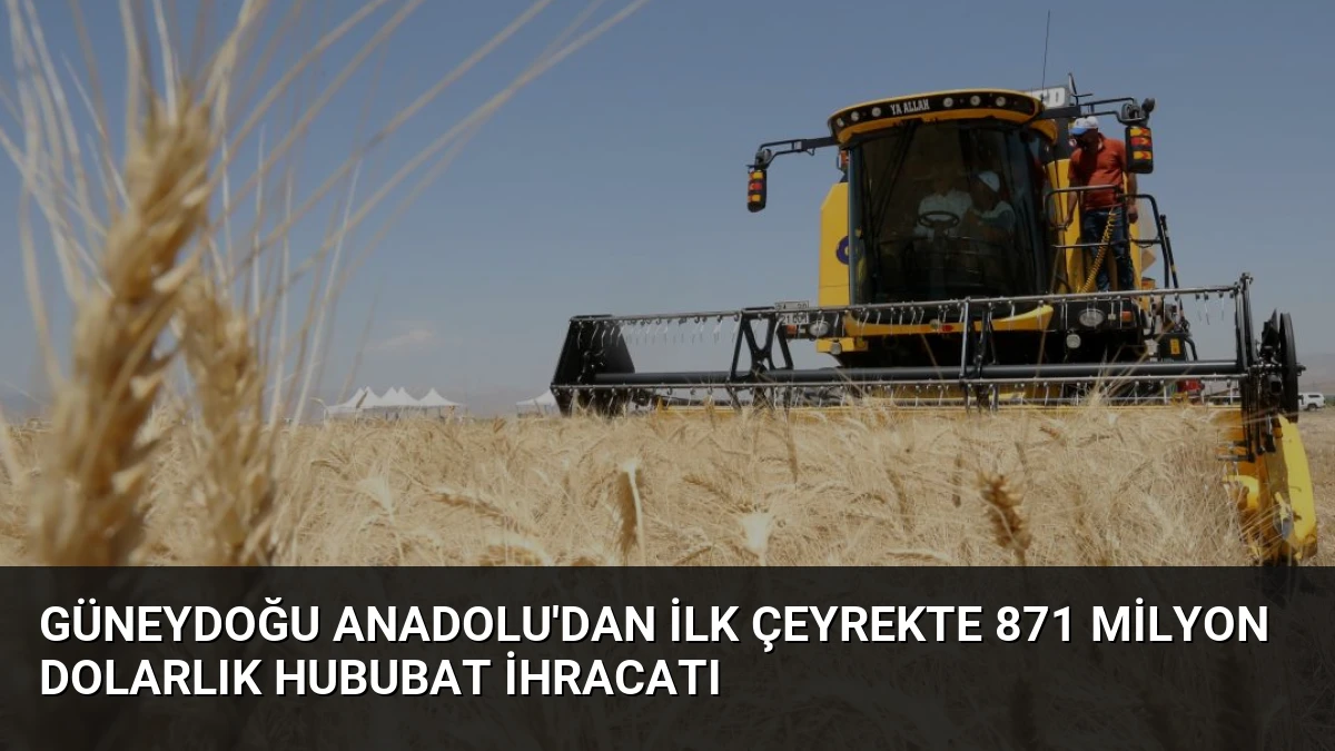 Güneydoğu Anadolu’dan İlk Çeyrekte 871 Milyon Dolarlık Hububat İhracatı