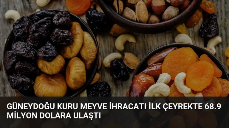 Güneydoğu Kuru Meyve İhracatı İlk Çeyrekte 68.9 Milyon Dolara Ulaştı