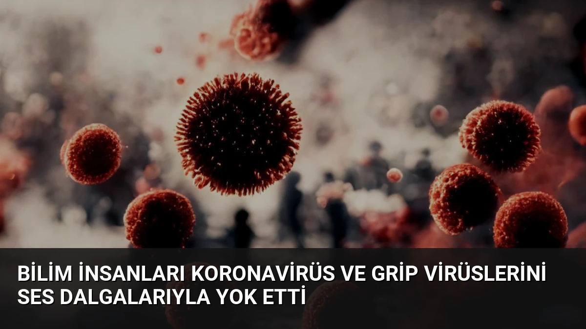 Bilim İnsanları Koronavirüs ve Grip Virüslerini Ses Dalgalarıyla Yok Etti