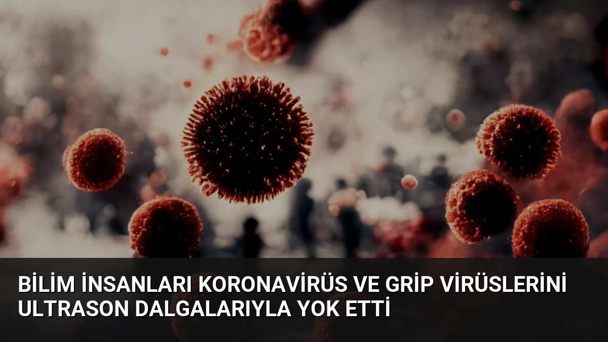 Bilim İnsanları Koronavirüs ve Grip Virüslerini Ultrason Dalgalarıyla Yok Etti