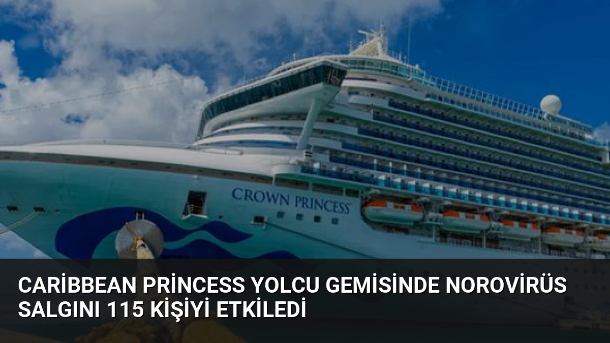 Caribbean Princess Yolcu Gemisinde Norovirüs Salgını 115 Kişiyi Etkiledi