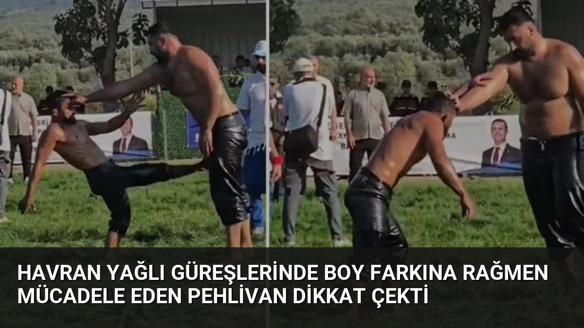 Havran Yağlı Güreşlerinde Boy Farkına Rağmen Mücadele Eden Pehlivan Dikkat Çekti