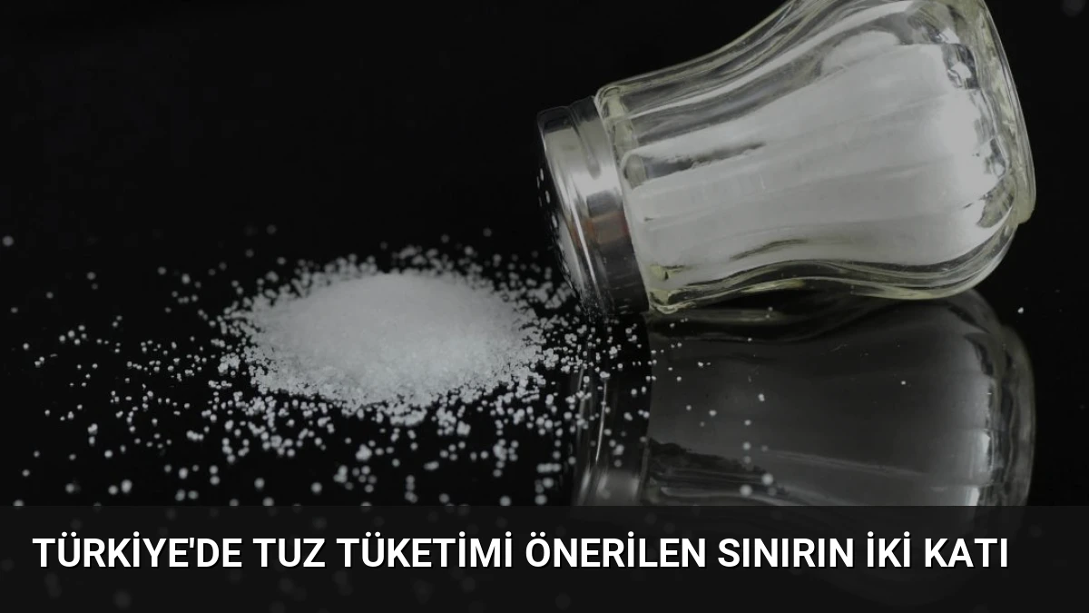 Türkiye’de Tuz Tüketimi Önerilen Sınırın İki Katı