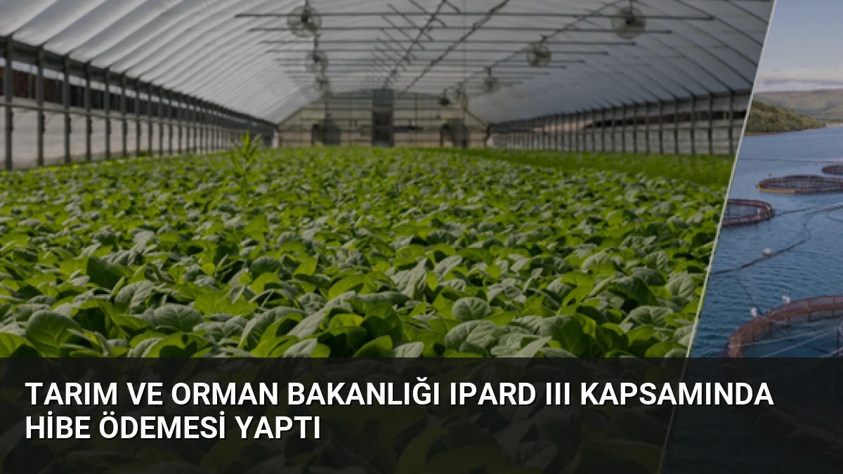 Tarım ve Orman Bakanlığı IPARD III Kapsamında Hibe Ödemesi Yaptı