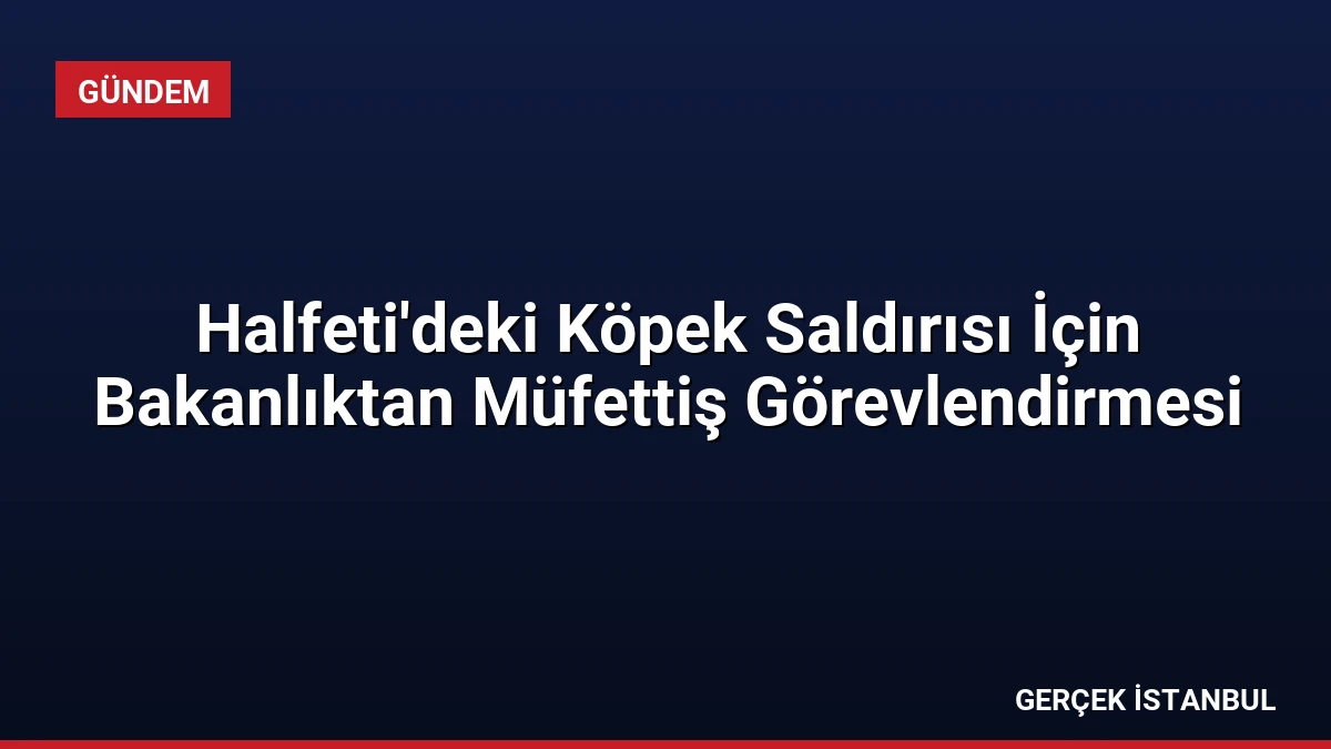 Halfeti’deki Köpek Saldırısı İçin Bakanlıktan Müfettiş Görevlendirmesi