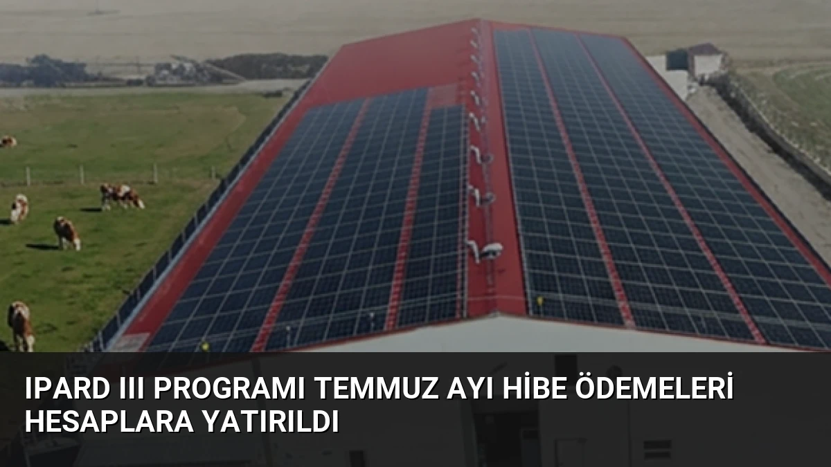 IPARD III Programı Temmuz Ayı Hibe Ödemeleri Hesaplara Yatırıldı