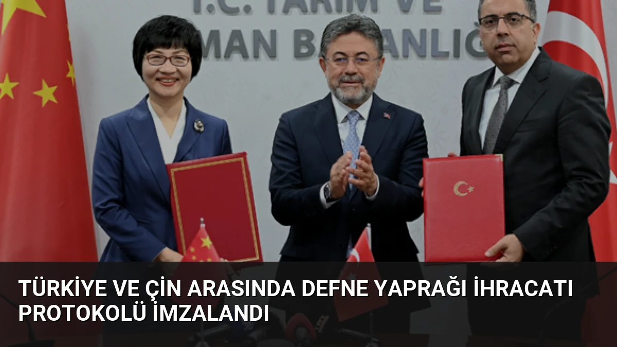 Türkiye ve Çin Arasında Defne Yaprağı İhracatı Protokolü İmzalandı