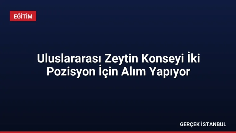 Uluslararası Zeytin Konseyi İki Pozisyon İçin Alım Yapıyor