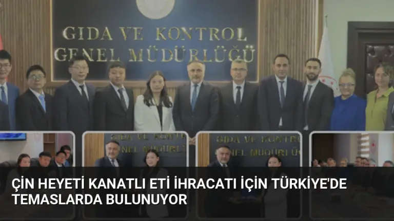 Çin Heyeti Kanatlı Eti İhracatı İçin Türkiye’de Temaslarda Bulunuyor