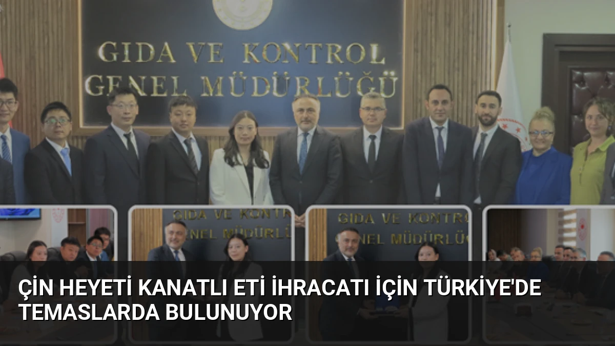 Çin Heyeti Kanatlı Eti İhracatı İçin Türkiye’de Temaslarda Bulunuyor
